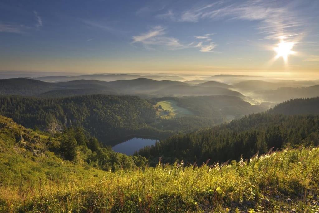 Ferienwohnung Niki Titisee-Neustadt Exterior foto