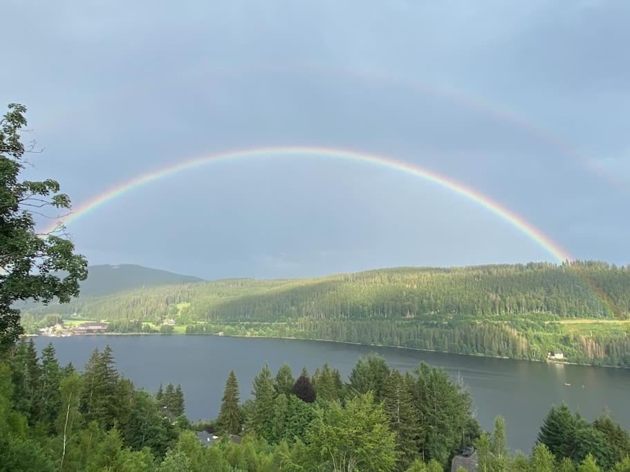 Ferienwohnung Niki Titisee-Neustadt Exterior foto