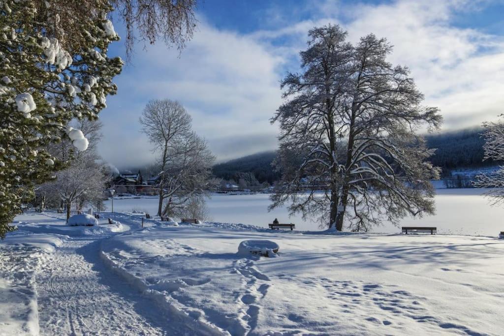 Ferienwohnung Niki Titisee-Neustadt Exterior foto